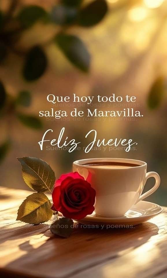 Vitico . G tweet media