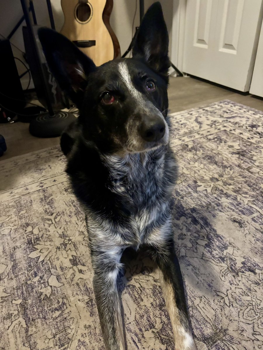 Blue thinks it’s really cool that you turned the voices in your head into a cohesive story. 💙