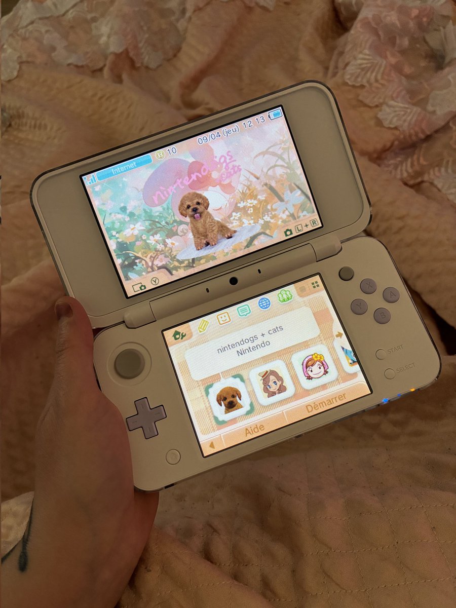 teaac_'s tweet image. Toute mon enfance 🐶🩷 #3dsxl #3ds #Nintendogs