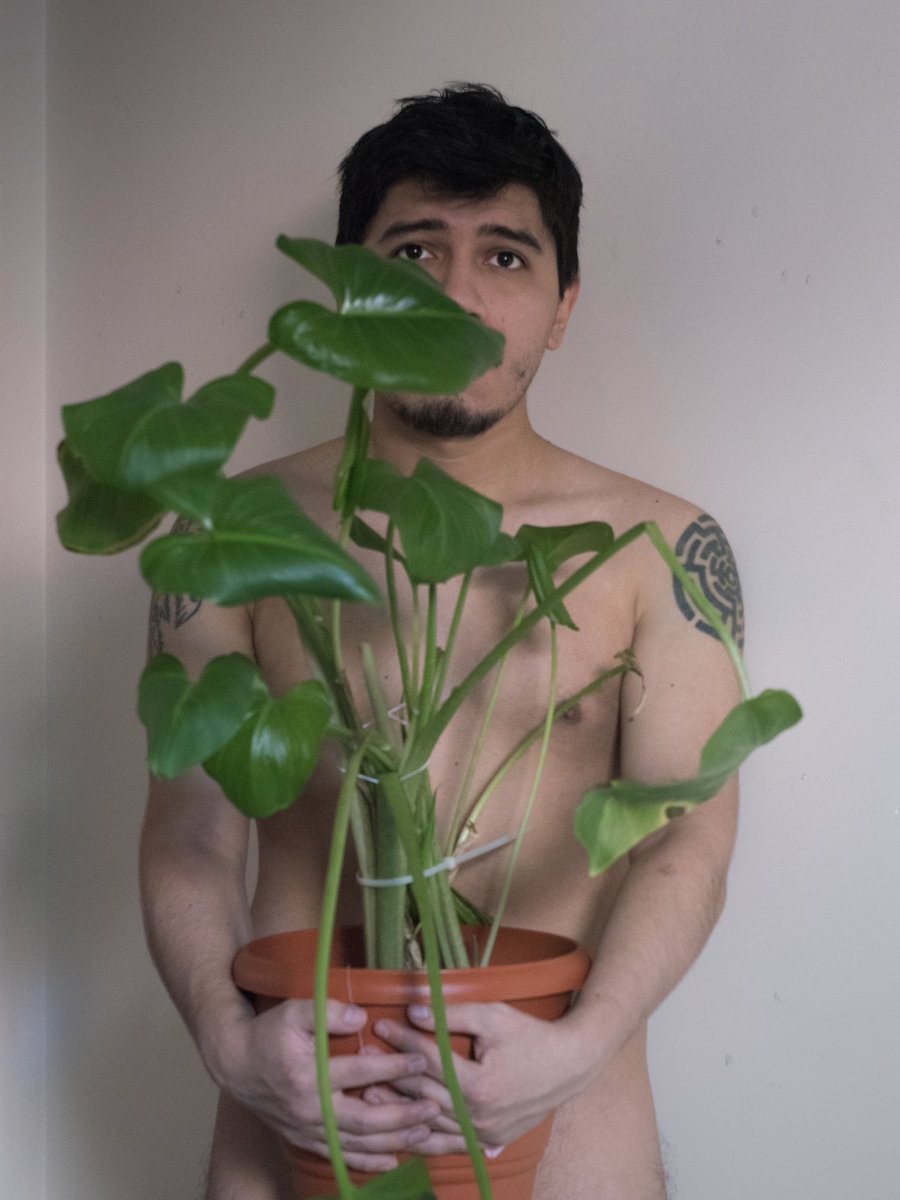 IndieTreasure tweet media