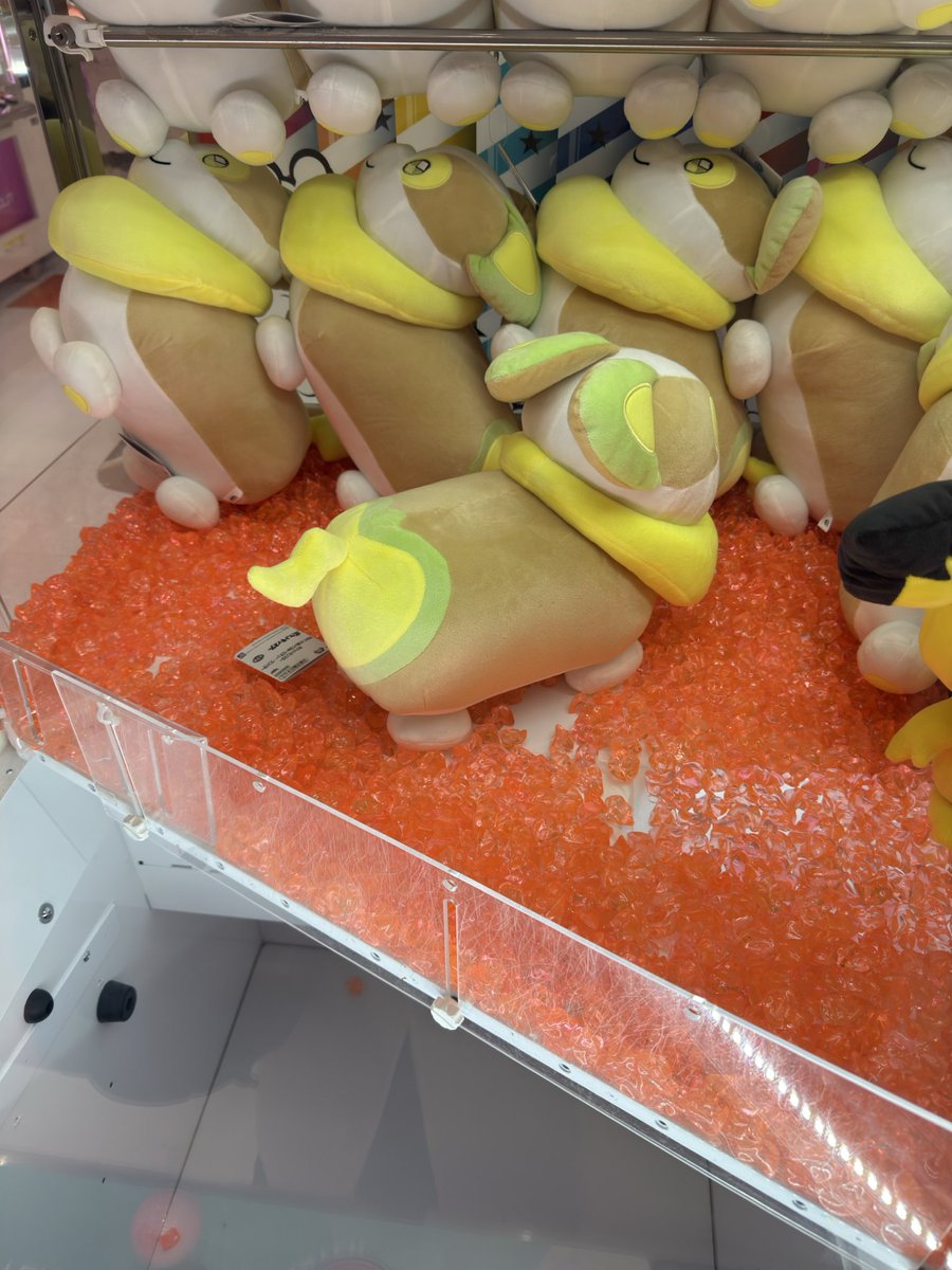 きたぞ。。