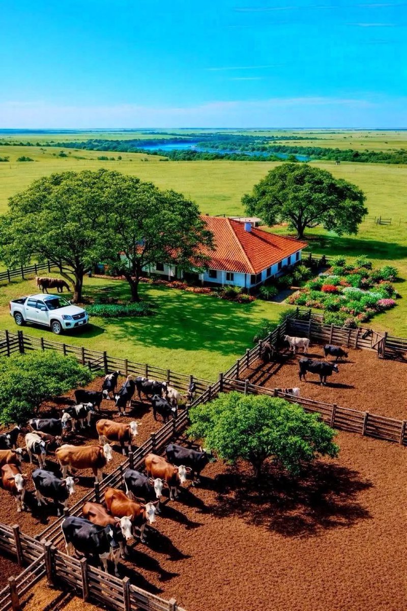 Agyereka K Omuraanzi 🇺🇬🇺🇬 tweet media