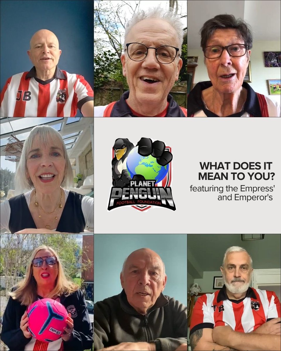 Brentford Penguins tweet media