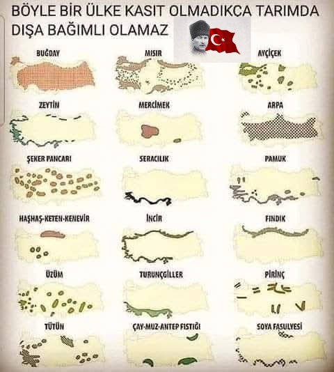 ᗩƳᑎᑌᖇ Ꭵᔕ̧ıᛕᗪᗩǤ̆ tweet media