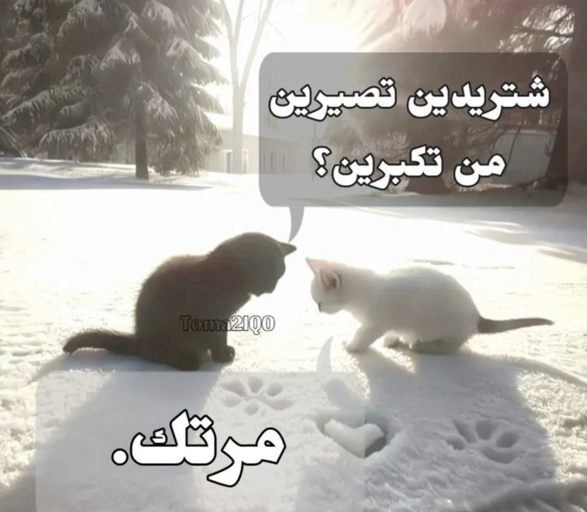 abdulrahman tweet media