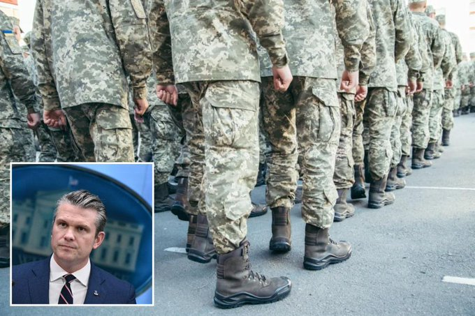 Owen Gregorian tweet media