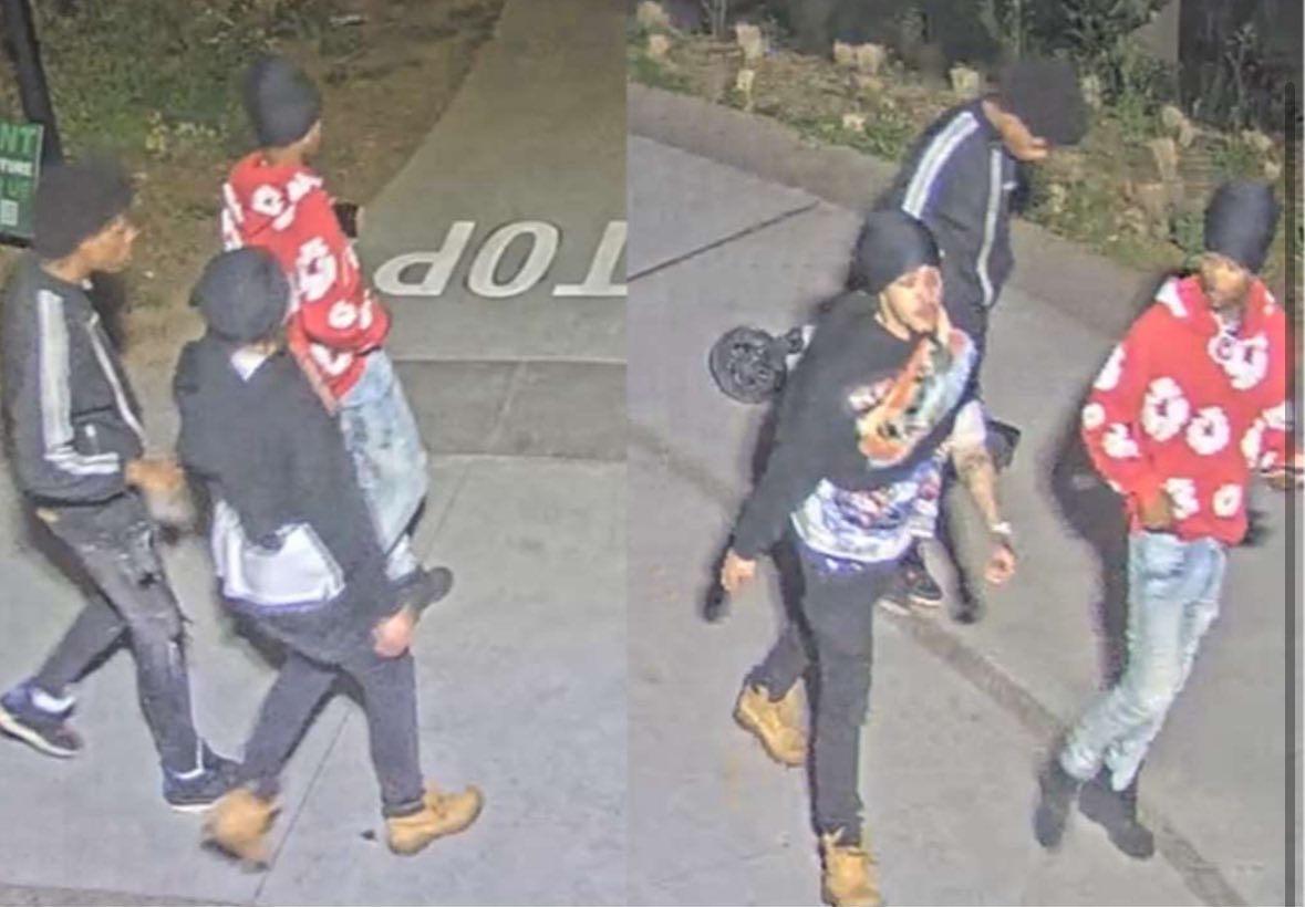 Everything Georgia tweet media