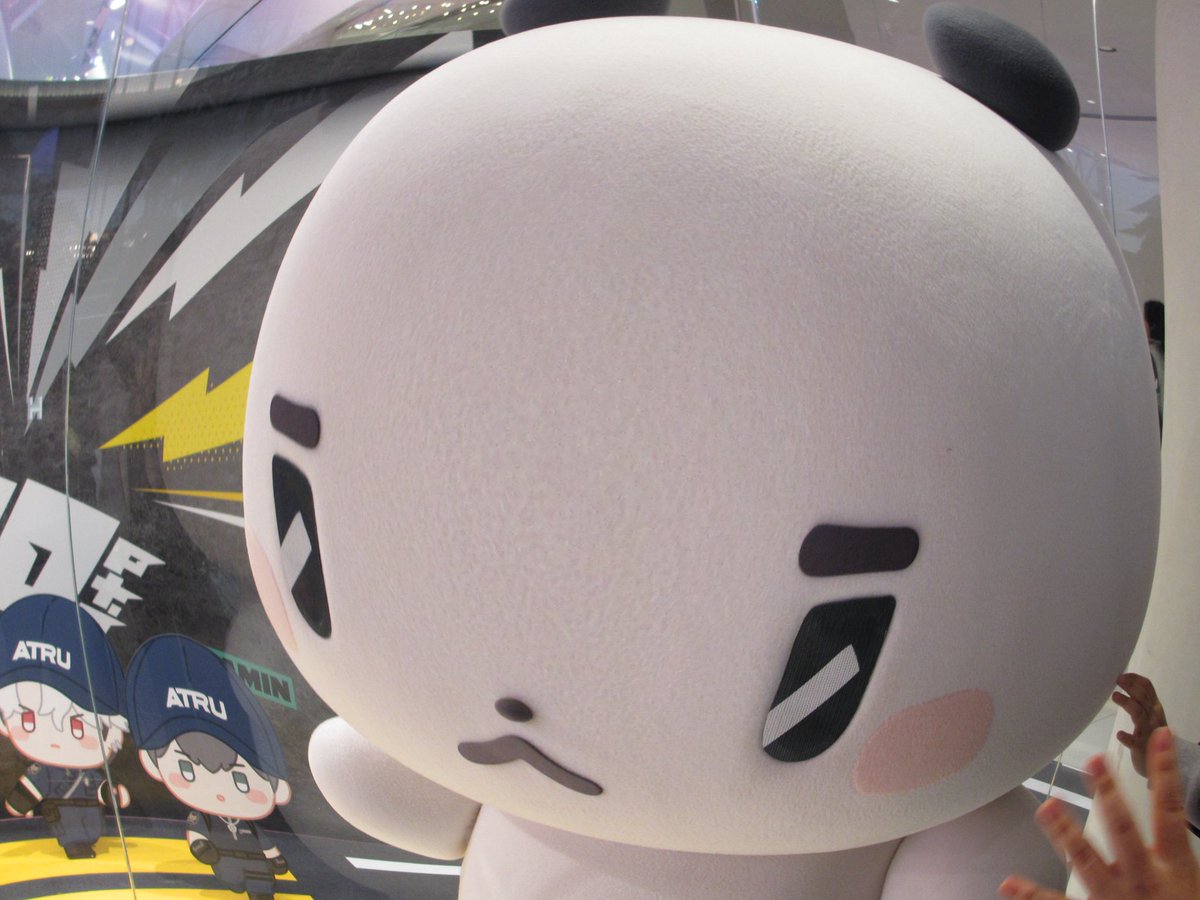 퍄퍄퍄 tweet media