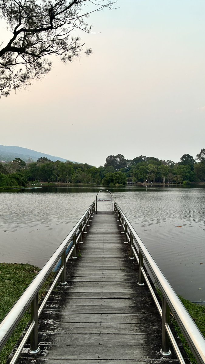 บีกคุง tweet media