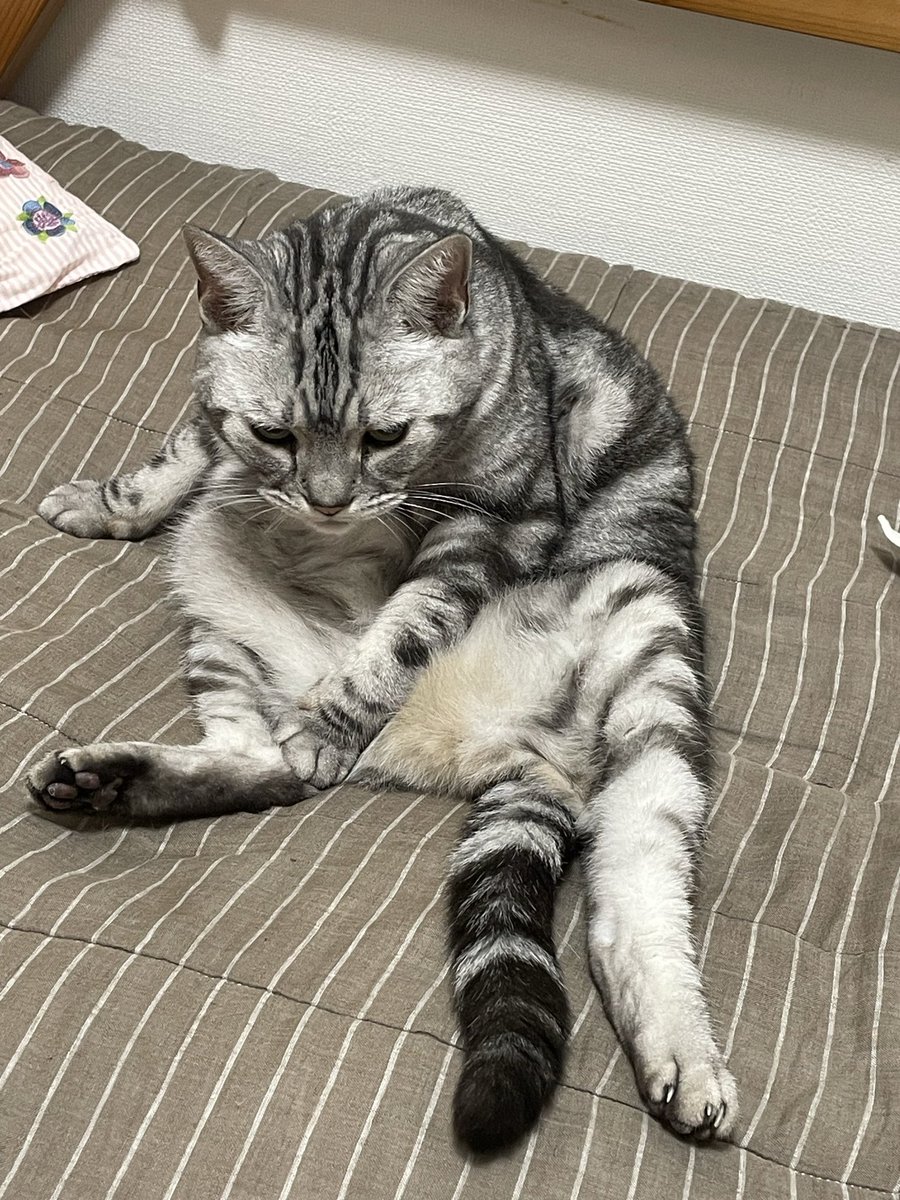 Meltt/メルト tweet media