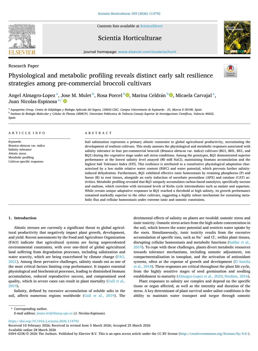 📋🥦NEW PAPER: "Physiological and metabolic profiling reveals distinct early salt resilience strategies among pre-commercial broccoli cultivars" by Angel Almagro-Lopez, Jose M. Mulet, Rosa Porcel, Marina Celdrán, Micaela Carvajal &amp; Juan Nicolas-Espinosa.

sciencedirect.com/science/articl…
