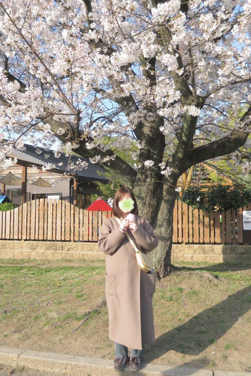 C1209N's tweet photo. 🌸

#日常垢 #일상계트친소 https://t.co/ENlBwpgkIp