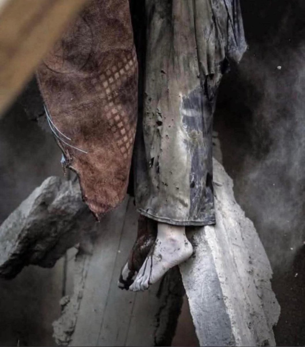 بـتـــــولـــــ 🩵 tweet media