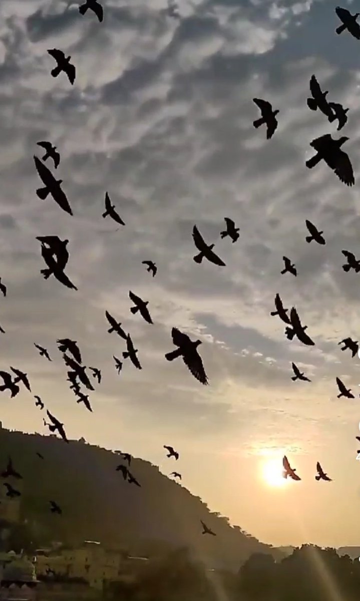 Pratima upadhyay tweet media