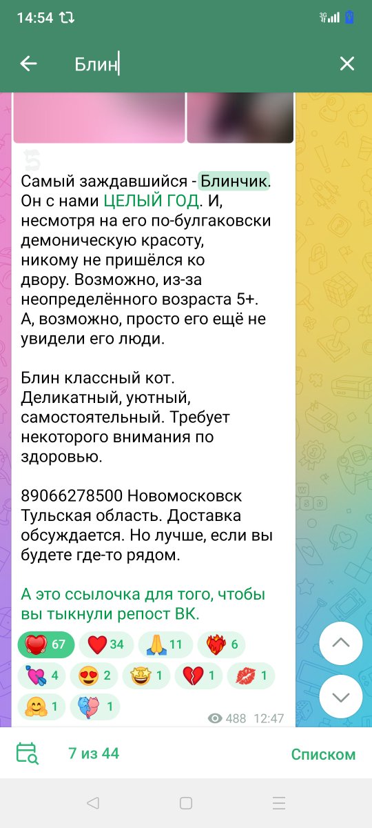 Ребята, смотрите какая красотищаааа ищет дом.
Кот Блинчик, нереальный, но торчит в приюте больше года.
Кому Счастье?