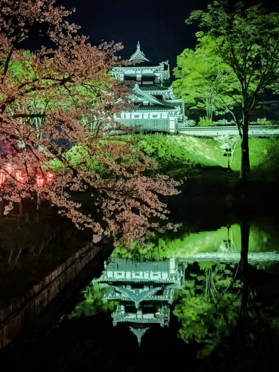 越後高田城丸山 tweet media