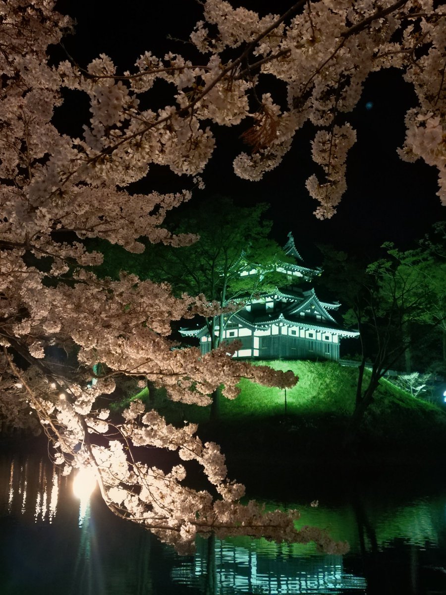 越後高田城丸山 tweet media