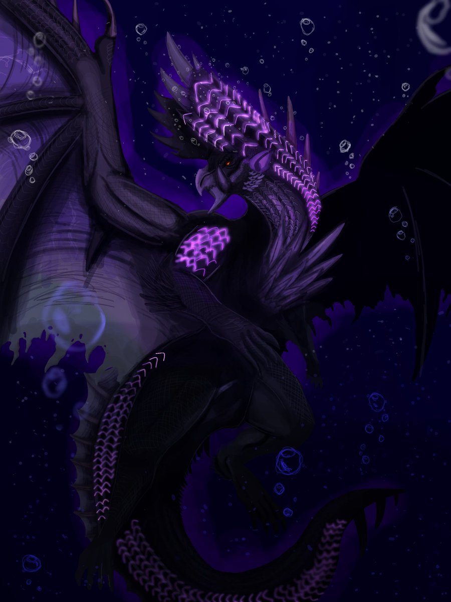 ディゼッタ tweet media