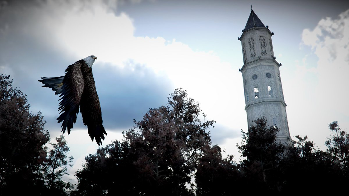 GoBlue92 tweet media