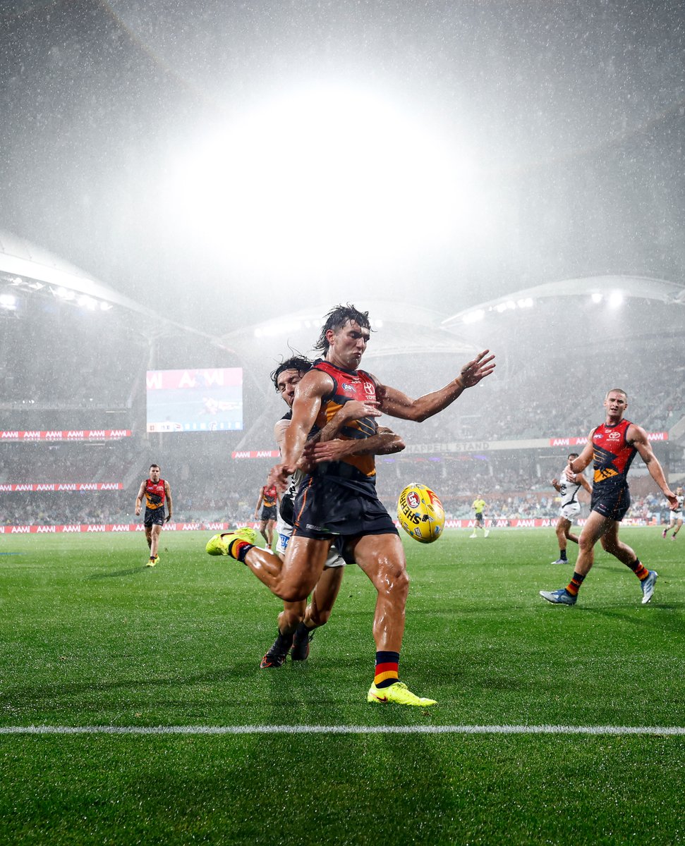AFL's tweet photo. In the elements 🌧️

📸: @MichaelCWillson 

#AFLCrowsBlues https://t.co/rgvsfJ7z2m