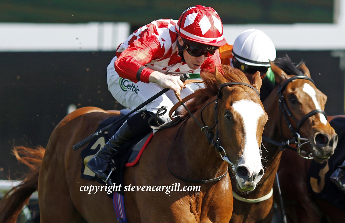 Steven_Cargill's tweet photo. Debut, colt ROTELLE @PBradley24 wins 5f 2yo maiden @NottsRacecourse yesterday for @WhitsburyManor Showcasing @FellowesRacing https://t.co/5mIOZ6cMMb