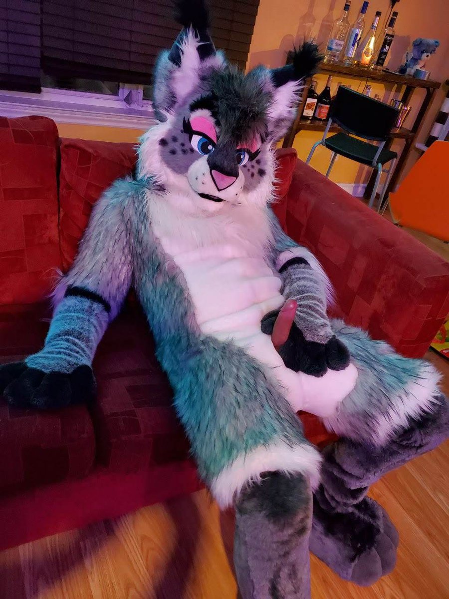 little.lynx tweet media