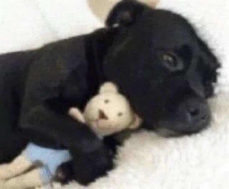 vthvted's tweet image. eles cantaram come over