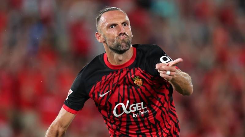 Oğulcan Karakoç tweet media