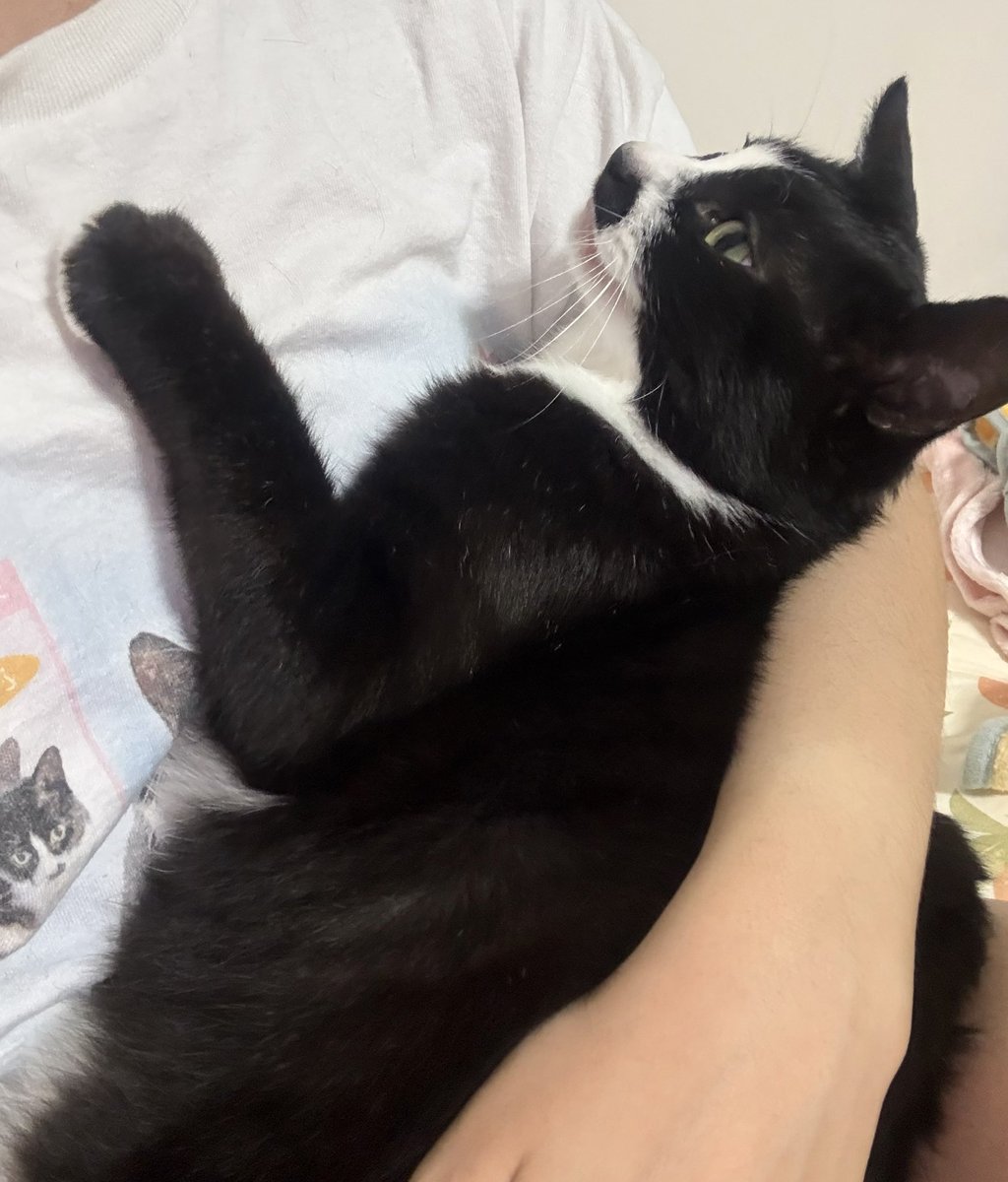 이단풍(12세) tweet media