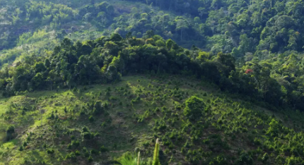 _Norkol's tweet photo. Carbon is shifting from cost to opportunity. CCS technologies could help pulp and paper mills turn CO₂ into revenue through credits or reuse—while managing rising emissions costs.

Norkol is aligned with this shift.

Read more: https://t.co/CCYclnnYcy https://t.co/TTVCTfsqC0