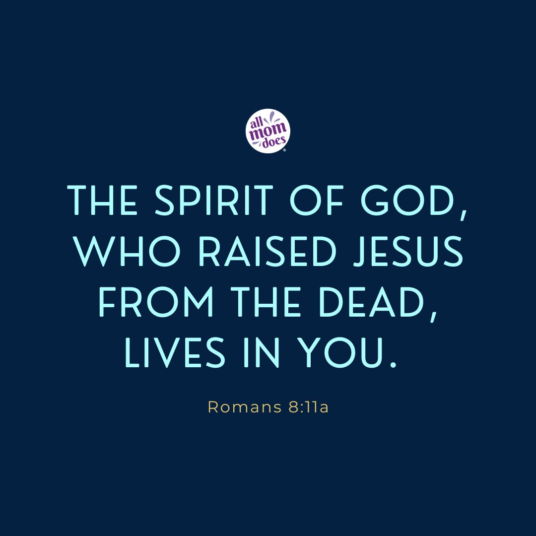 AllMomDoes tweet media