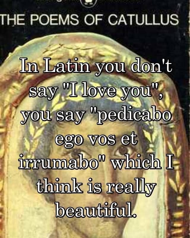 Classical Studies Memes tweet media