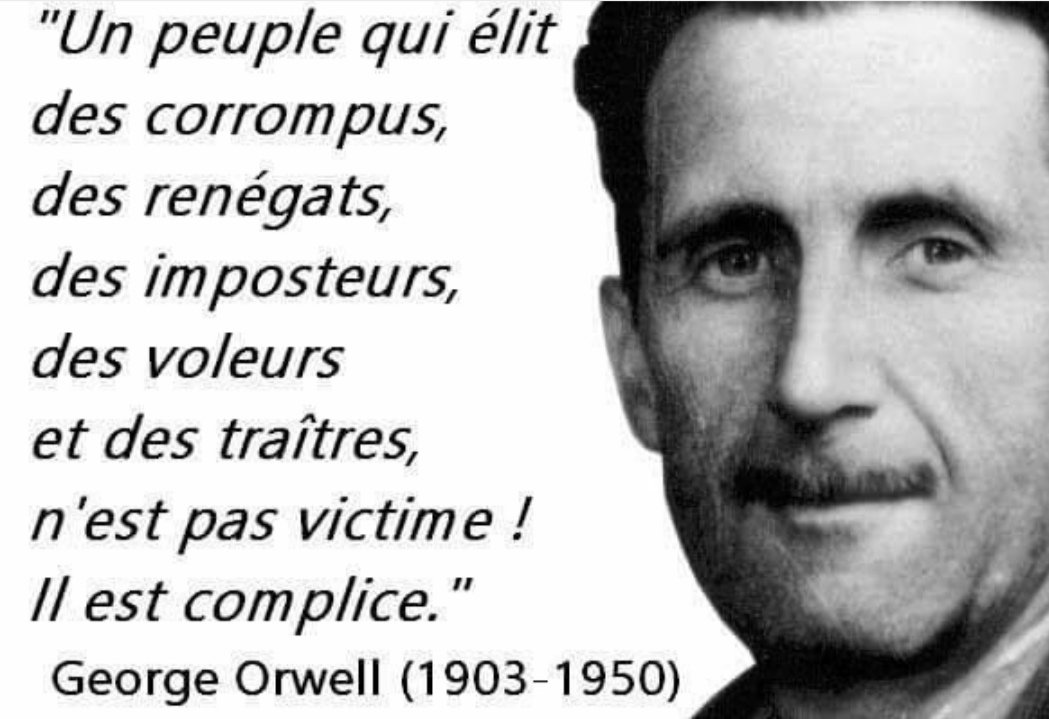 Satelmarc tweet media