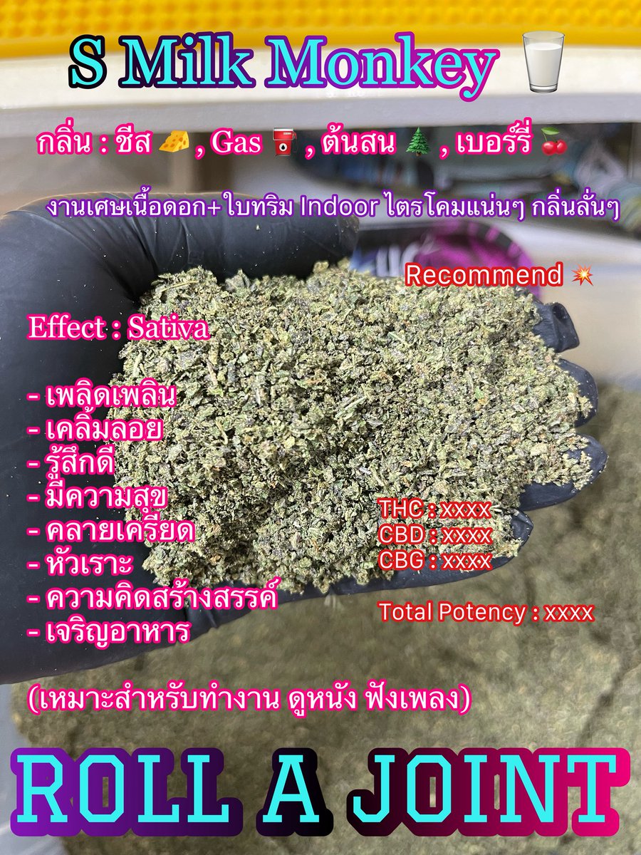 Rollajoint29's tweet photo. เศษเนื้อดอก + ทริม Indoor เด็ดๆ 

ชอบแบบไหนกันครับ Sativa หรือ Indica ?

🫢🫢🫢

#กัญชาไทย #สายเขียว #กัญชา #กัญชาทางการแพทย์ https://t.co/zqLuVmGON8