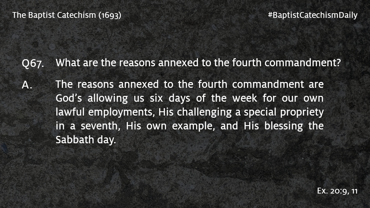 Tim Giovanetto tweet media