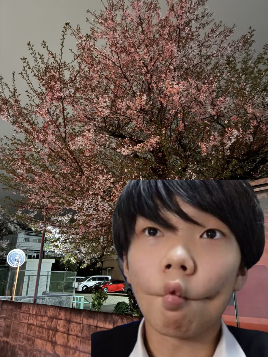 ASIT_Rua_YouTube@乗っ取り撲滅委員会ふくかいちょう tweet media