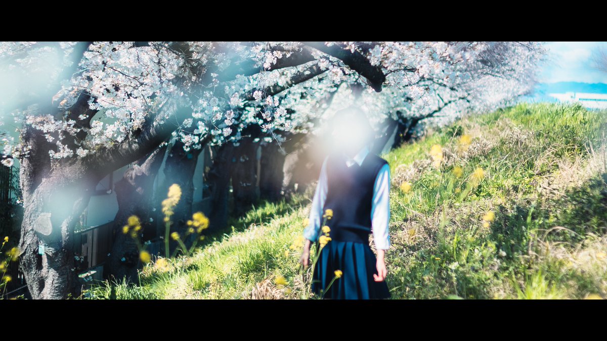 海波 / minami tweet media