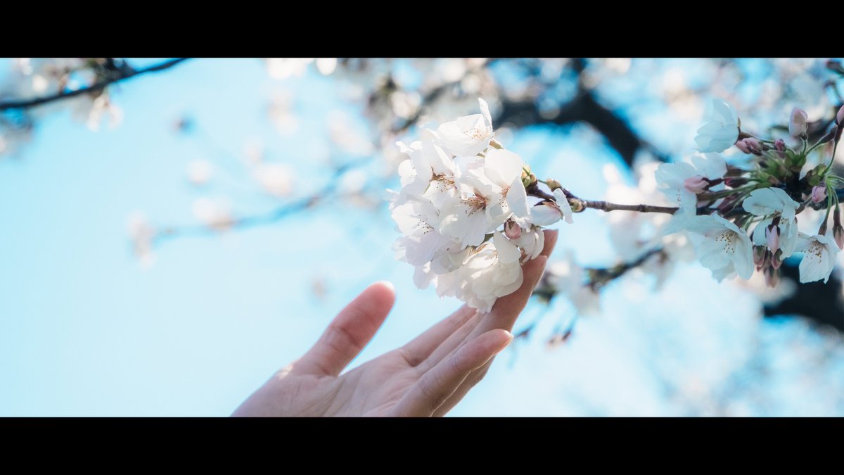海波 / minami tweet media