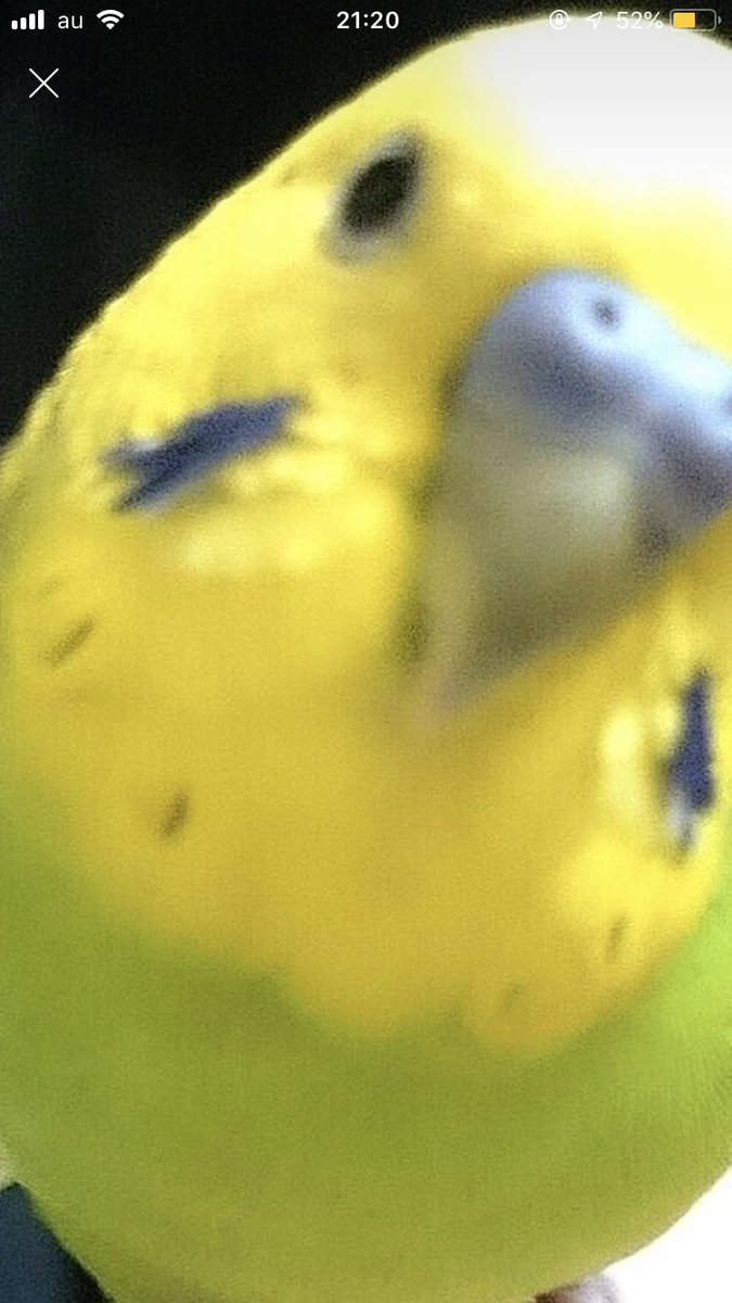 翔太@動物を救い隊☮️ tweet media