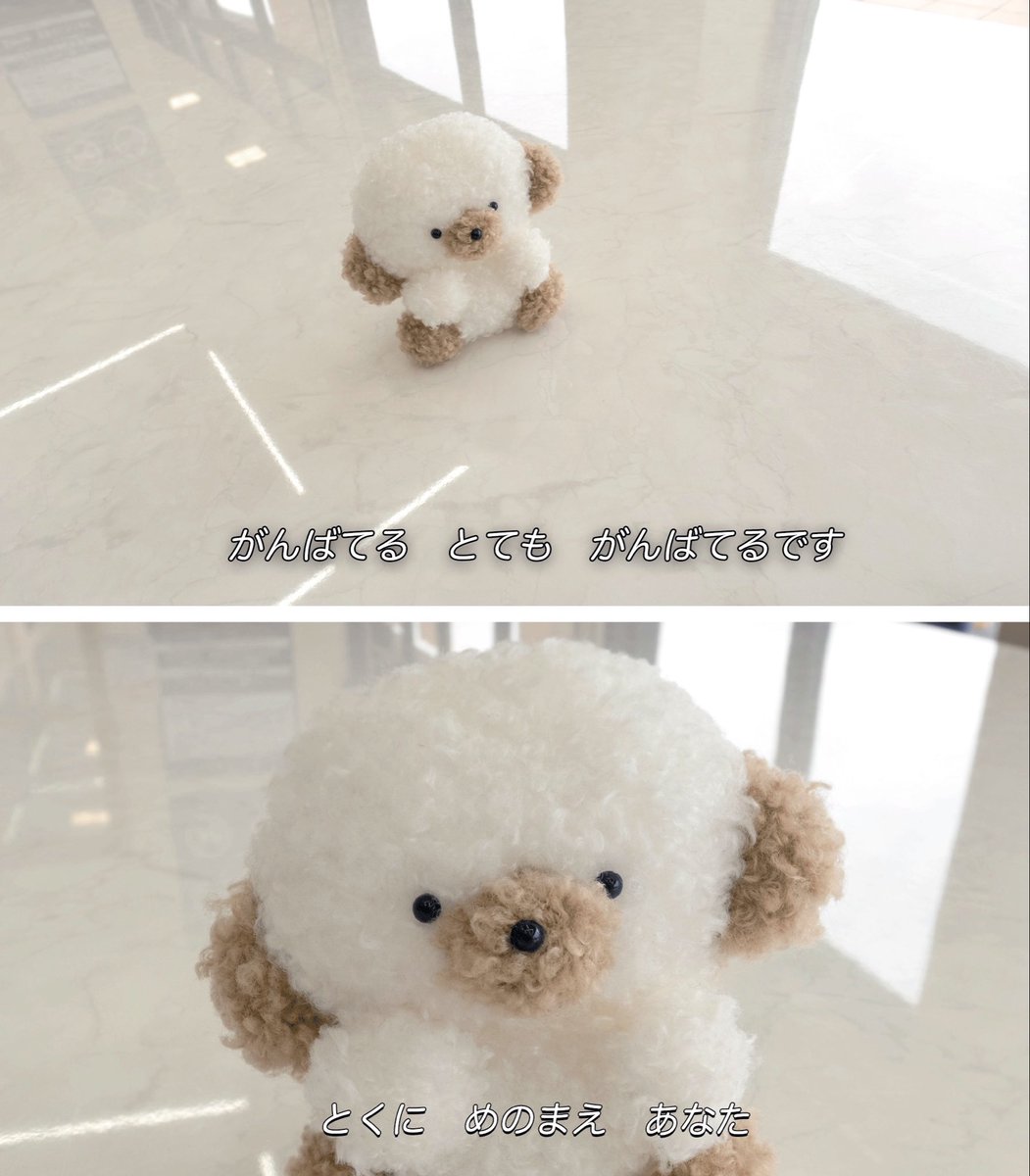 じょせまる (@josemaru_model) on Twitter photo 