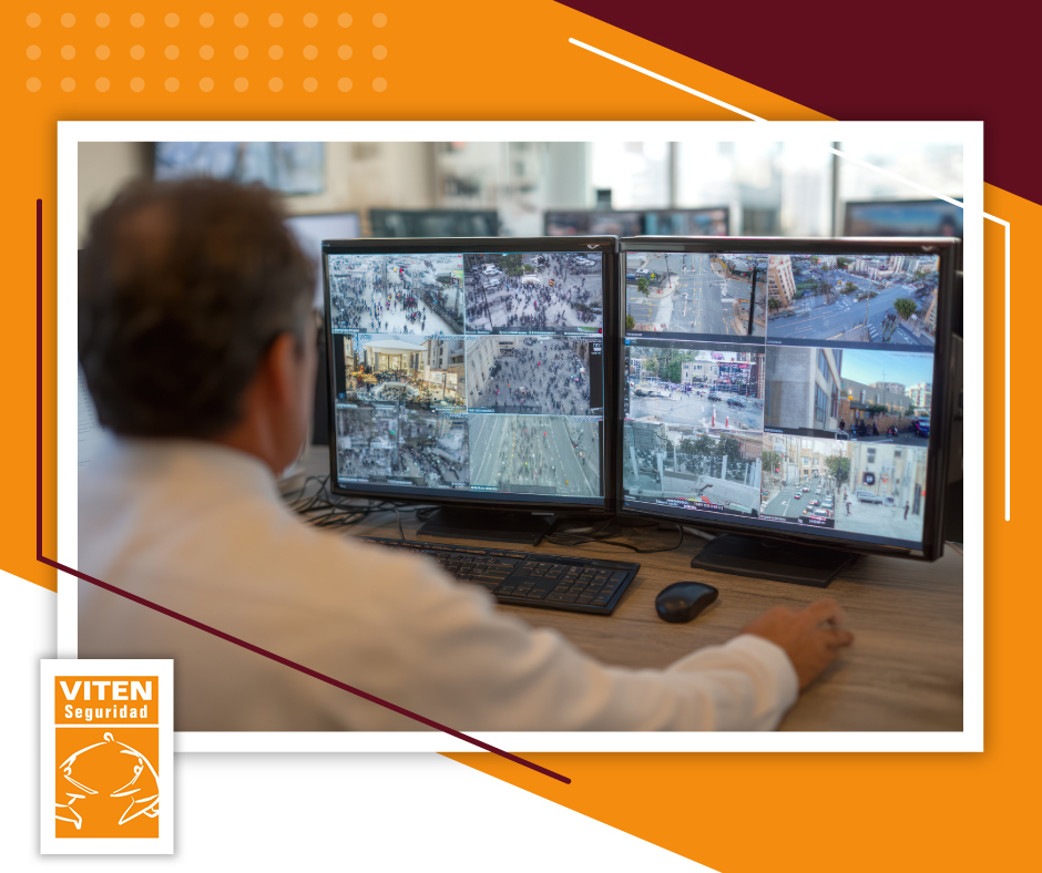 Viten Seguridad tweet media
