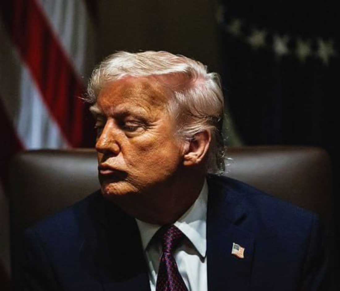 MAGA NEWS tweet media