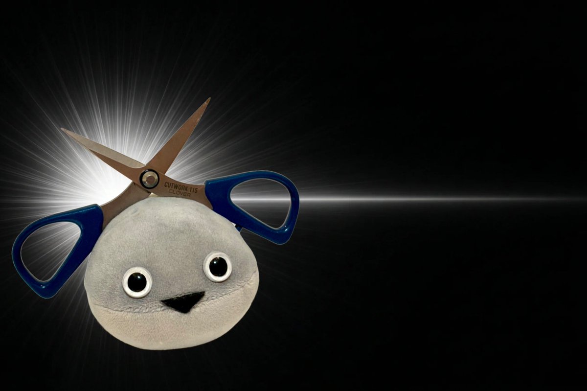 まめた@春例ふ15ab tweet media