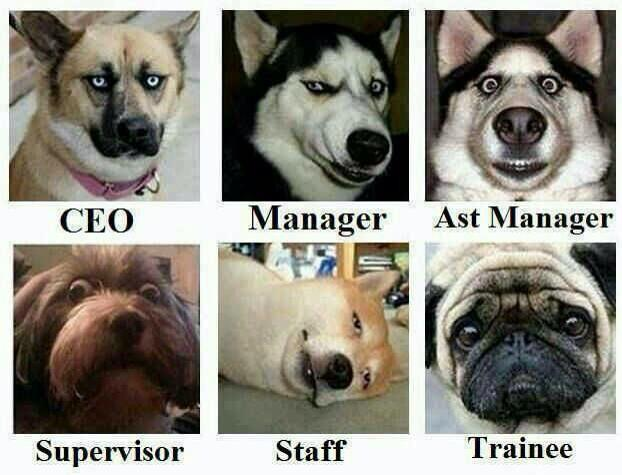 Papa Woof und Krampus und Bleaken tweet media