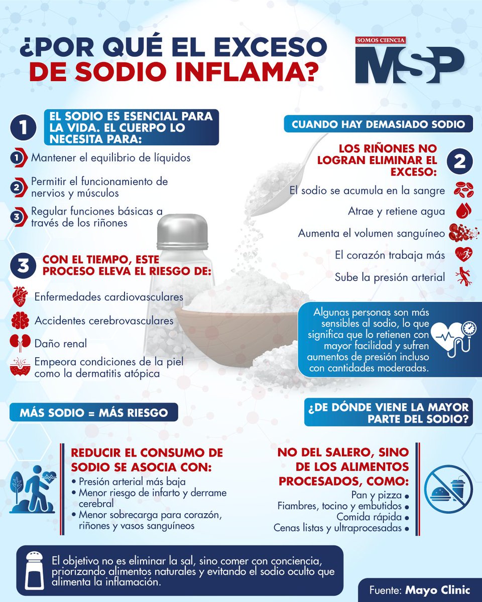 Revista MSP tweet media