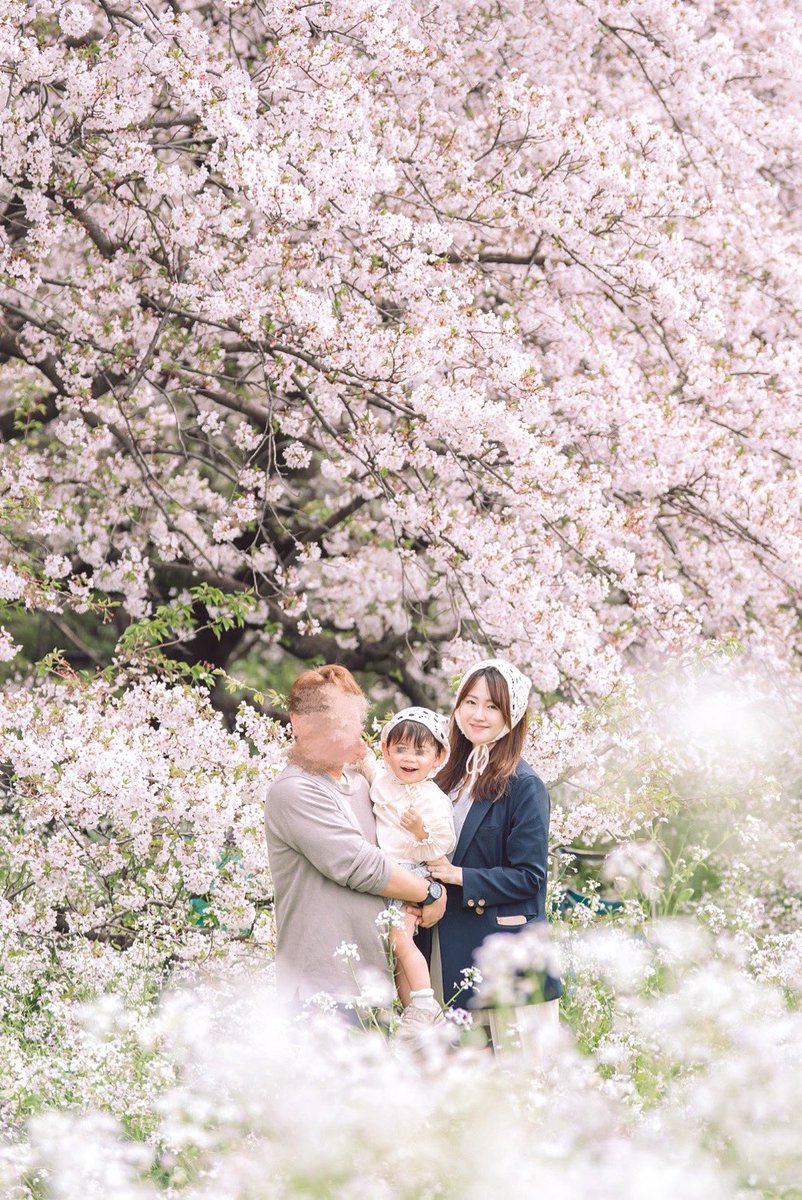 かめ🐢☺︎2y tweet media