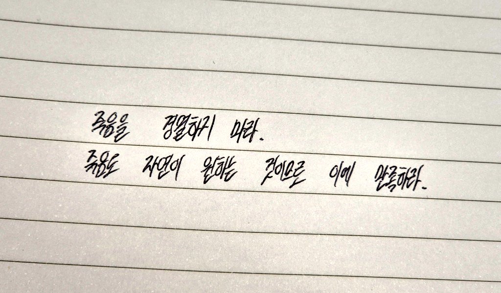 Lucas Valerich tweet media