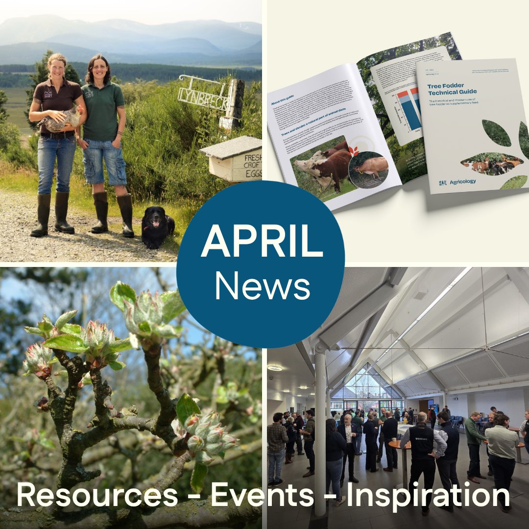 agricology's tweet photo. 📰🌳Our newsletter has just landed in subscribers’ inboxes! 

Packed full of the very best resources, farming inspiration &amp; exciting updates on our new #TreeFodder Tech Guide. 🚜

🗓️PLUS events &amp; webinars for your diary.

 Read it here: https://t.co/TvXneRkwvH

📸Lynn Cassells https://t.co/fk1jFlHpi5