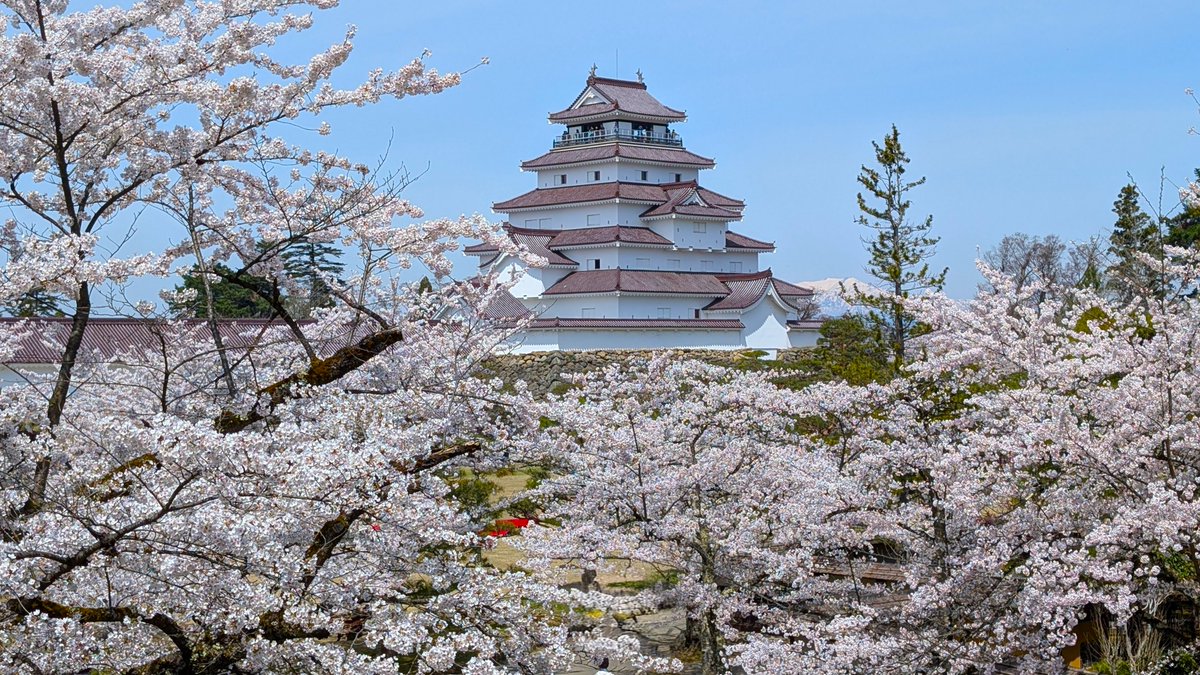 たかゆき tweet media