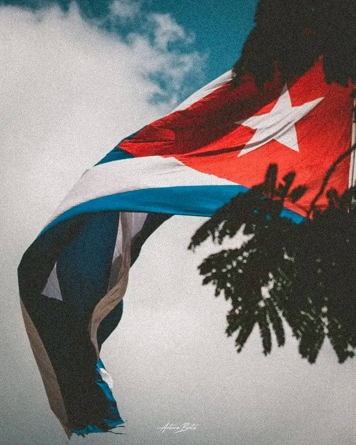 Iskander Sacarias tweet media